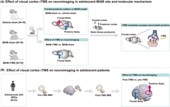 https://cdn.ncbi.nlm.nih.gov/pmc/blobs/b95b/10915985/30f6621c6e23/CNS-30-e14427-g002.jpg