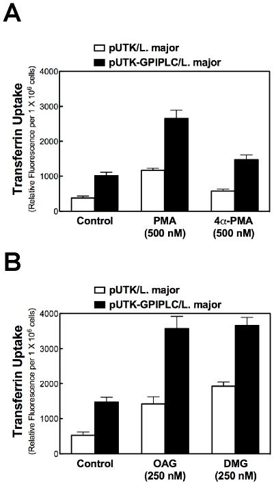 https://cdn.ncbi.nlm.nih.gov/pmc/blobs/b95b/2796386/6b63e1eff2a8/pone.0008538.g004.jpg