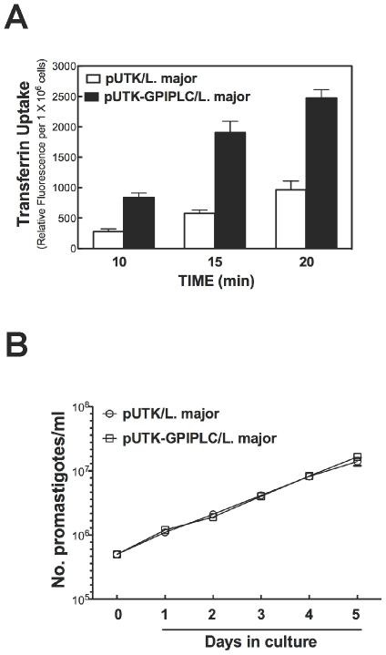 https://cdn.ncbi.nlm.nih.gov/pmc/blobs/b95b/2796386/89641ff83a97/pone.0008538.g001.jpg