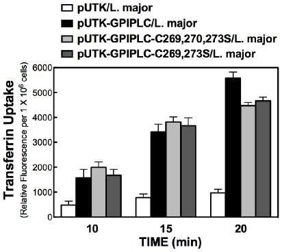 https://cdn.ncbi.nlm.nih.gov/pmc/blobs/b95b/2796386/8ca1ebcfbe76/pone.0008538.g002.jpg