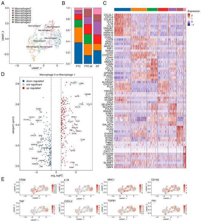 https://cdn.ncbi.nlm.nih.gov/pmc/blobs/b95c/12149705/0a76e95347c6/ol-29-03-14876-g02.jpg