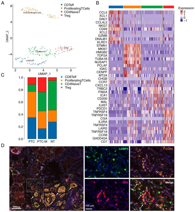 https://cdn.ncbi.nlm.nih.gov/pmc/blobs/b95c/12149705/3258819b5734/ol-29-03-14876-g06.jpg