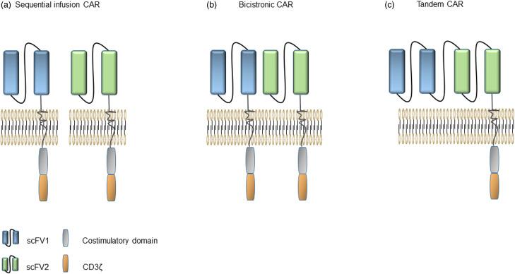 https://cdn.ncbi.nlm.nih.gov/pmc/blobs/b95c/9403467/1b9da1f20fe4/10.1177_15330338221118413-fig3.jpg