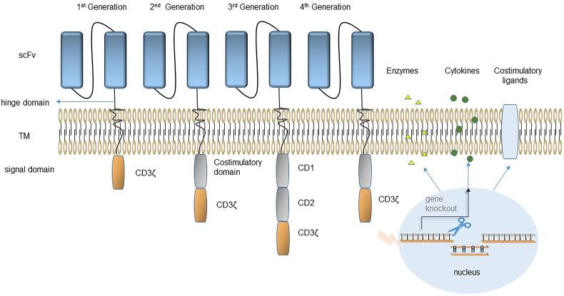 https://cdn.ncbi.nlm.nih.gov/pmc/blobs/b95c/9403467/a16246a2db05/10.1177_15330338221118413-fig1.jpg