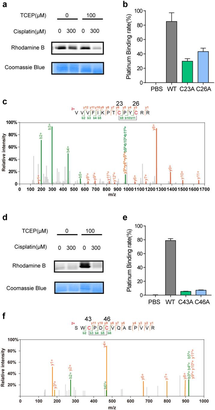 https://cdn.ncbi.nlm.nih.gov/pmc/blobs/b95f/10467758/69726a64dd6f/d3cb00042g-f2.jpg