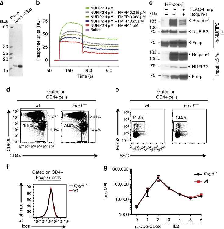 https://cdn.ncbi.nlm.nih.gov/pmc/blobs/b95f/5775257/6e38e7a7a7db/41467_2017_2582_Fig6_HTML.jpg