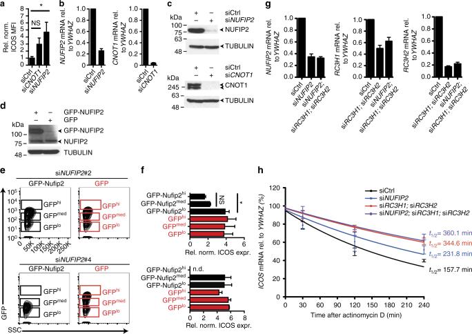 https://cdn.ncbi.nlm.nih.gov/pmc/blobs/b95f/5775257/8f00ebd636f6/41467_2017_2582_Fig3_HTML.jpg