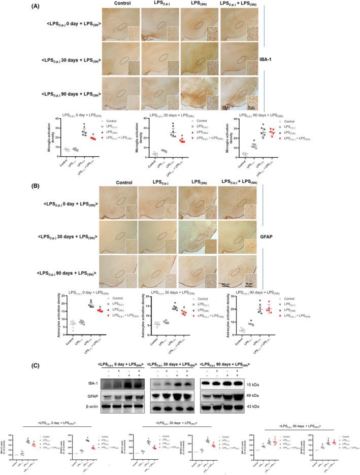 https://cdn.ncbi.nlm.nih.gov/pmc/blobs/b95f/9437226/c8afee21eab2/CNS-28-1624-g008.jpg