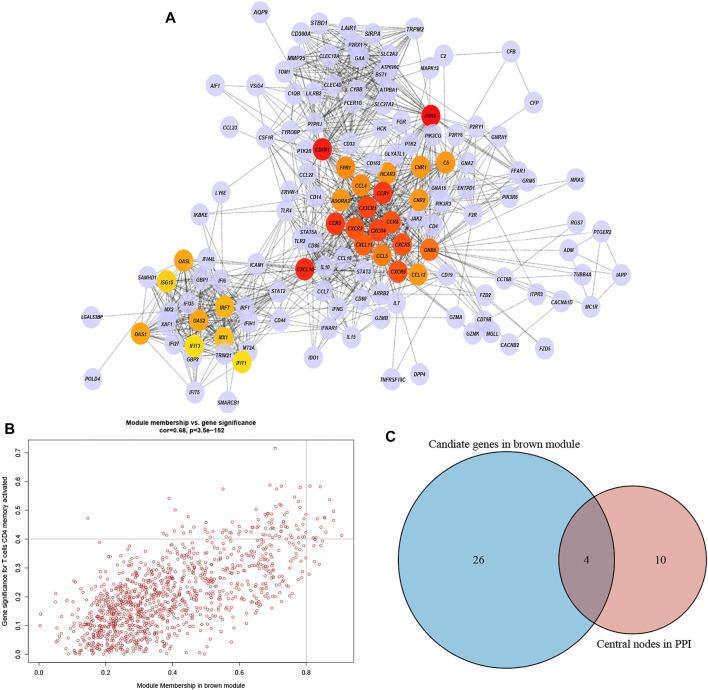 https://cdn.ncbi.nlm.nih.gov/pmc/blobs/b962/9196638/b8a156c069fb/fgene-13-849422-g005.jpg
