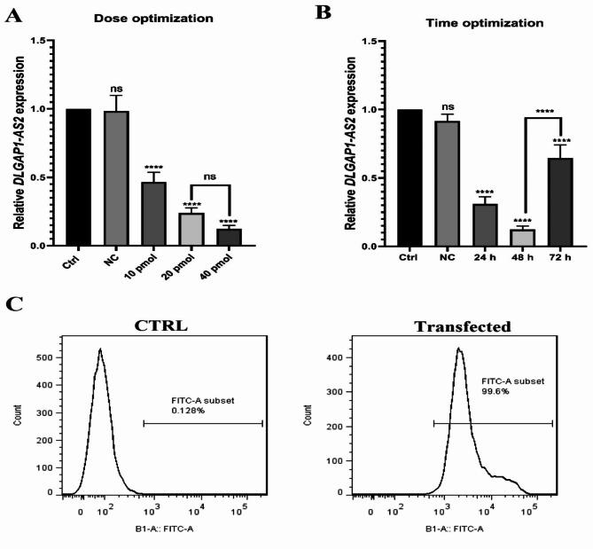 https://cdn.ncbi.nlm.nih.gov/pmc/blobs/b965/11889186/a7750e5ab6d6/41598_2025_87649_Fig3_HTML.jpg