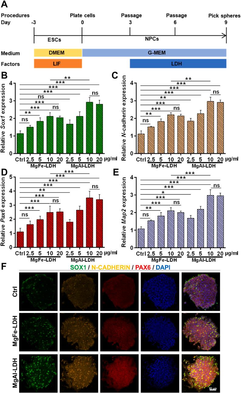 https://cdn.ncbi.nlm.nih.gov/pmc/blobs/b965/12169790/21e37810e350/gr3.jpg