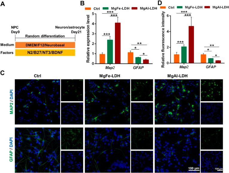 https://cdn.ncbi.nlm.nih.gov/pmc/blobs/b965/12169790/3bef35257ee2/gr7.jpg