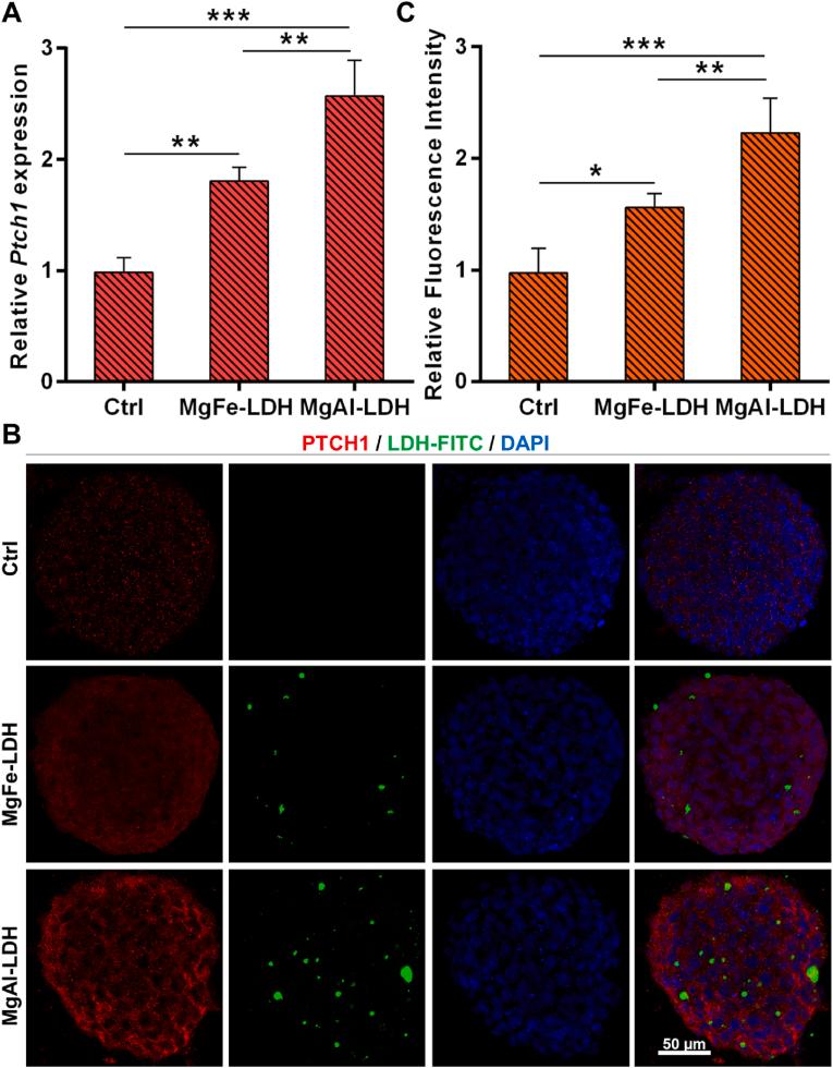 https://cdn.ncbi.nlm.nih.gov/pmc/blobs/b965/12169790/67c581b62883/gr5.jpg