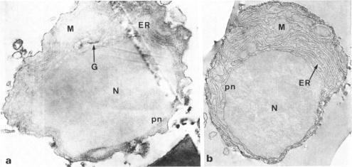 https://cdn.ncbi.nlm.nih.gov/pmc/blobs/b969/1538946/c92d025fa0e6/clinexpimmunol00195-0151-b.jpg