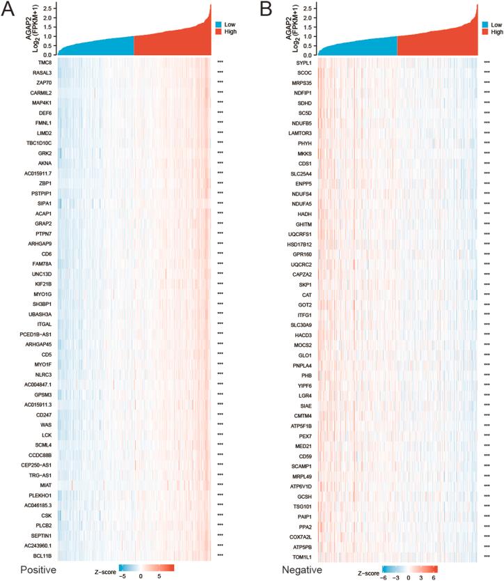 https://cdn.ncbi.nlm.nih.gov/pmc/blobs/b969/9947311/1788949796a7/gr3.jpg