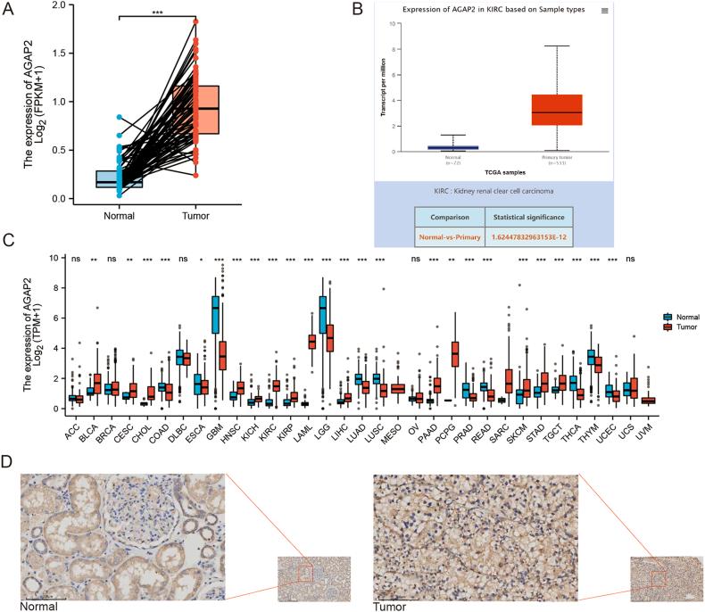 https://cdn.ncbi.nlm.nih.gov/pmc/blobs/b969/9947311/ce8a9601b71b/gr1.jpg