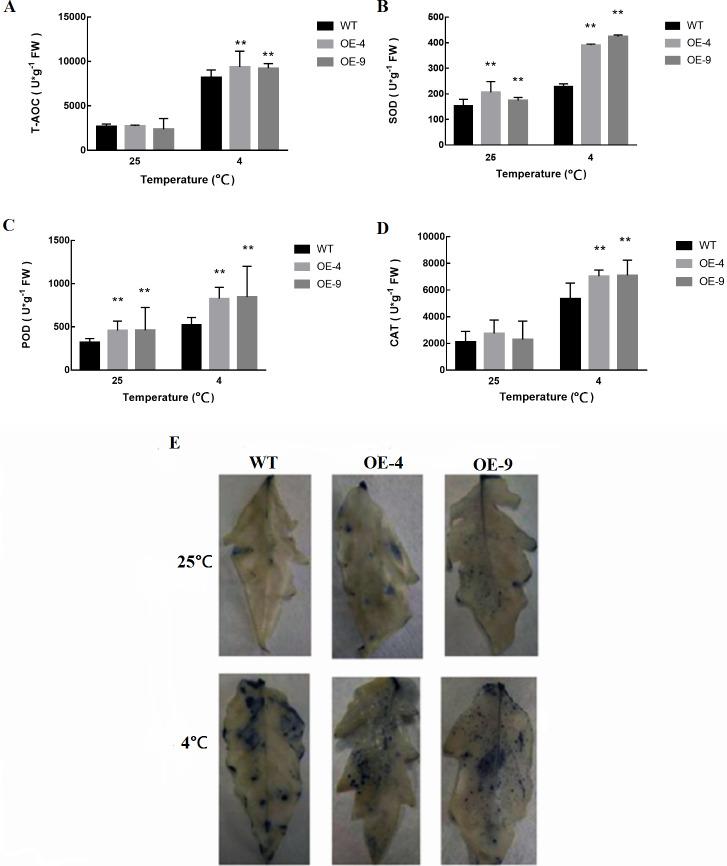 https://cdn.ncbi.nlm.nih.gov/pmc/blobs/b96a/7547593/ae551112c6f1/peerj-08-10059-g006.jpg