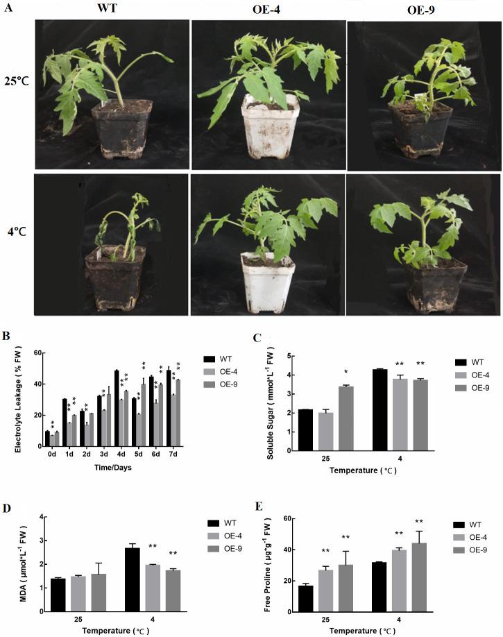 https://cdn.ncbi.nlm.nih.gov/pmc/blobs/b96a/7547593/e0f5321a50ab/peerj-08-10059-g005.jpg