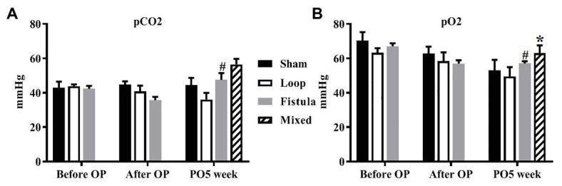 https://cdn.ncbi.nlm.nih.gov/pmc/blobs/b96b/7775550/e1f2a6bd1e8e/fphys-11-616528-g003.jpg