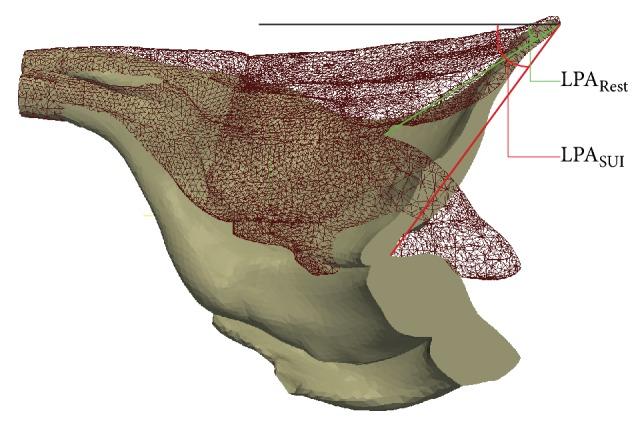 https://cdn.ncbi.nlm.nih.gov/pmc/blobs/b96c/5820624/bef5d4bc5591/CMMM2018-9518076.009.jpg