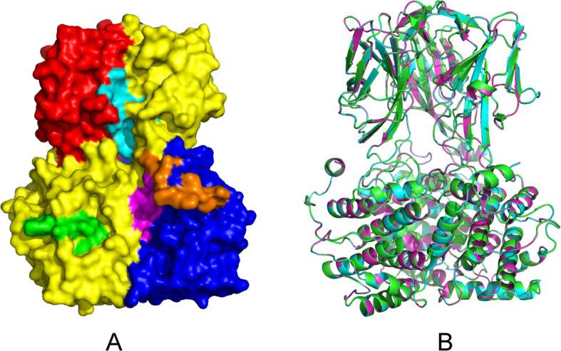 https://cdn.ncbi.nlm.nih.gov/pmc/blobs/b96e/12042368/391bd91c7f88/12985_2025_2733_Fig7_HTML.jpg
