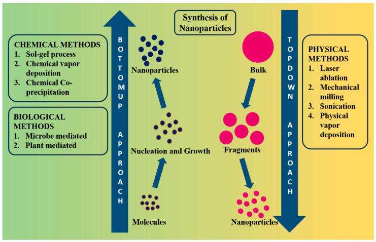https://cdn.ncbi.nlm.nih.gov/pmc/blobs/b96f/11124843/238e43b4a639/pharmaceutics-16-00645-g003.jpg
