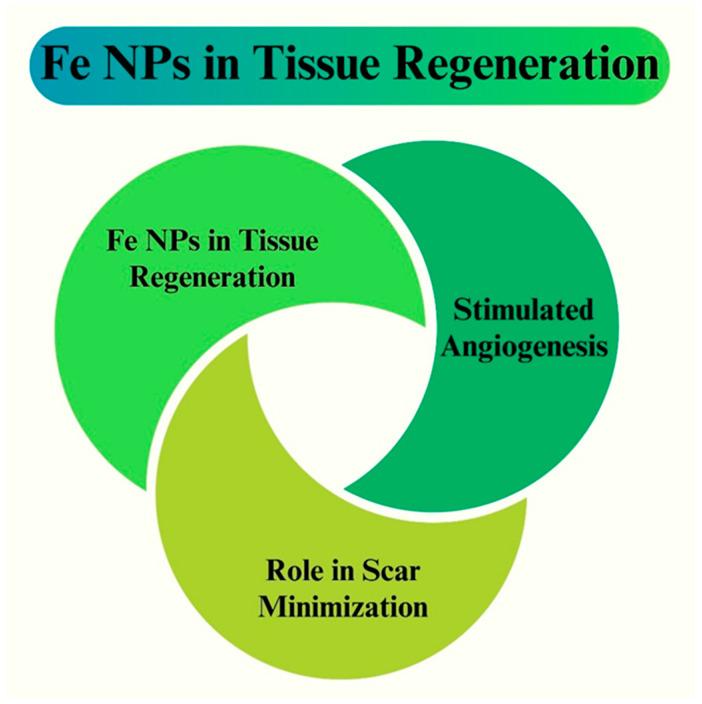 https://cdn.ncbi.nlm.nih.gov/pmc/blobs/b96f/11124843/6e19c23bd2a0/pharmaceutics-16-00645-g020.jpg