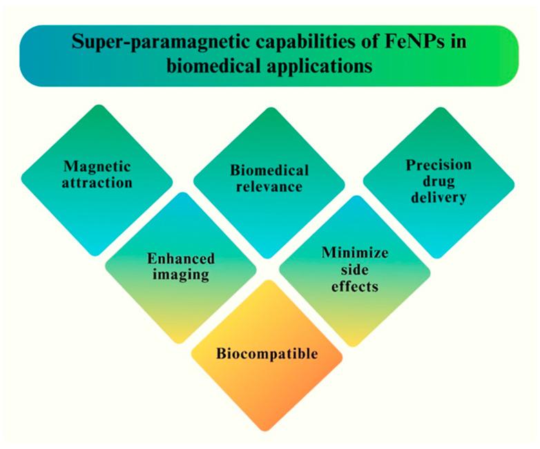 https://cdn.ncbi.nlm.nih.gov/pmc/blobs/b96f/11124843/73f700dab4fa/pharmaceutics-16-00645-g002.jpg