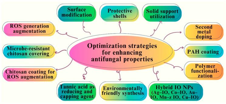 https://cdn.ncbi.nlm.nih.gov/pmc/blobs/b96f/11124843/9bcf57912cae/pharmaceutics-16-00645-g015.jpg