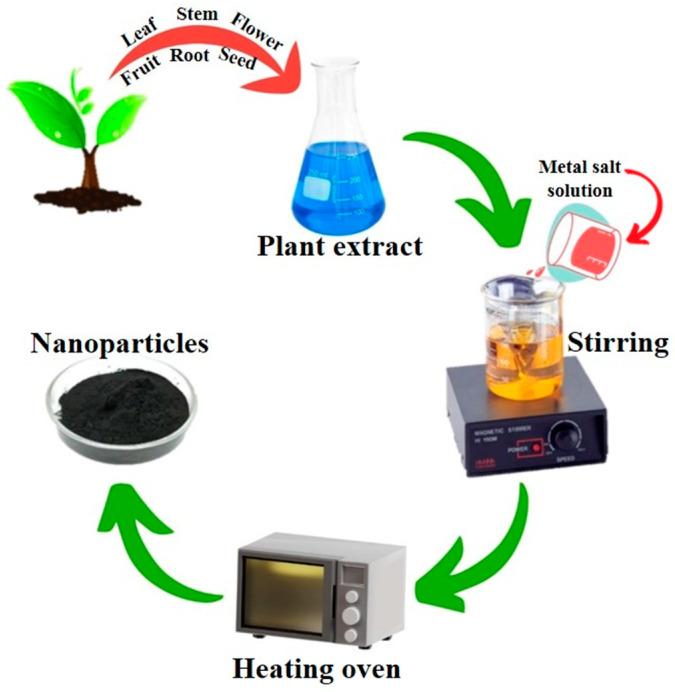 https://cdn.ncbi.nlm.nih.gov/pmc/blobs/b96f/11124843/9fcbb01b54f6/pharmaceutics-16-00645-g010.jpg