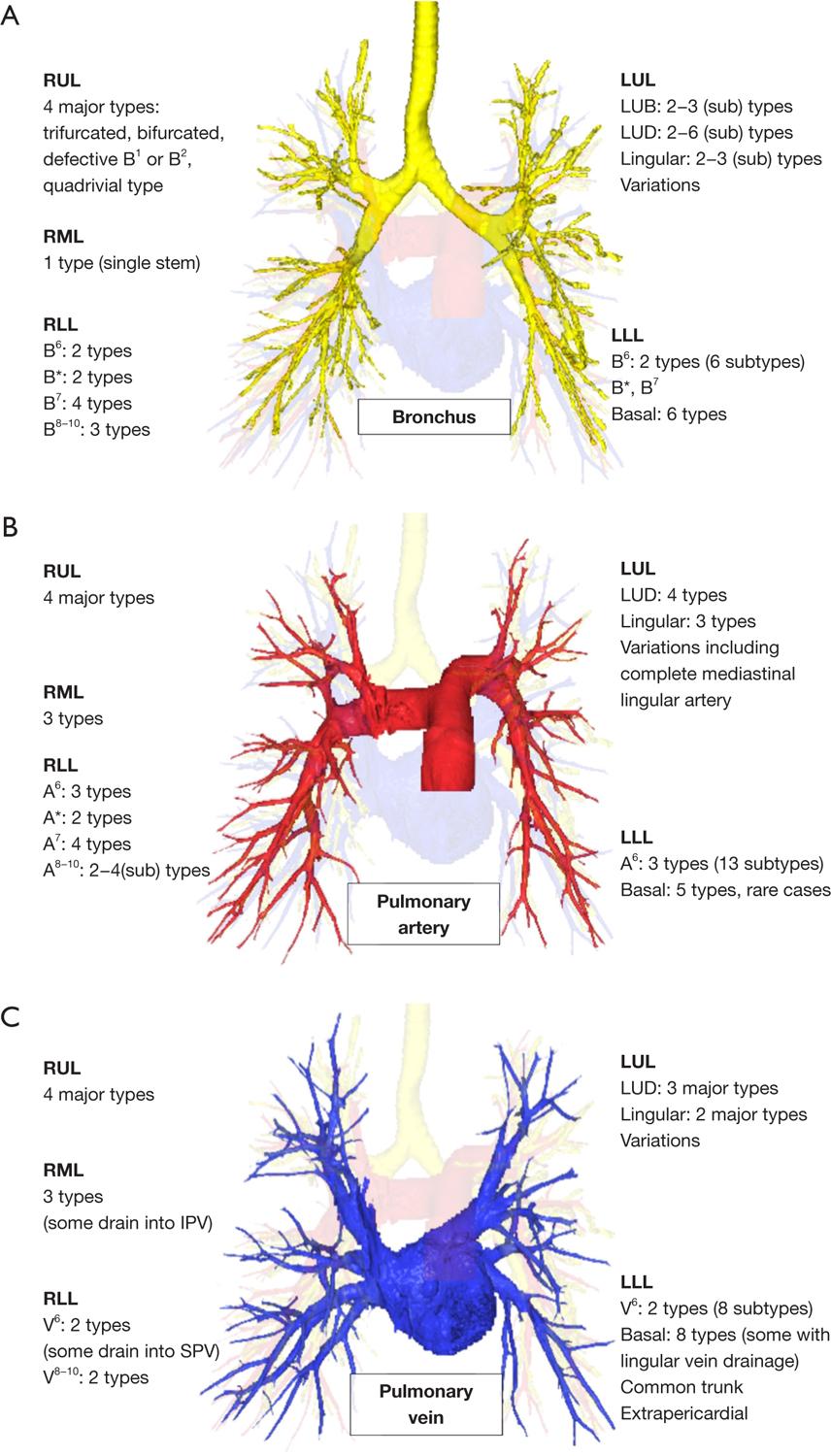 https://cdn.ncbi.nlm.nih.gov/pmc/blobs/b972/10501054/a97bdeb4f98c/nihms-1929752-f0003.jpg