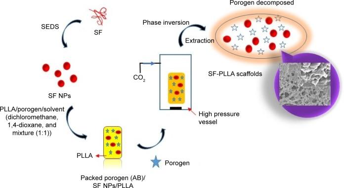 https://cdn.ncbi.nlm.nih.gov/pmc/blobs/b972/5352233/41185fd210c8/ijn-12-1877Fig1.jpg