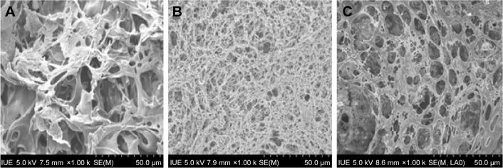 https://cdn.ncbi.nlm.nih.gov/pmc/blobs/b972/5352233/96ca5621ef9c/ijn-12-1877Fig2.jpg