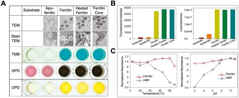 https://cdn.ncbi.nlm.nih.gov/pmc/blobs/b972/6929972/6473b799b596/thnov10p0687g004.jpg