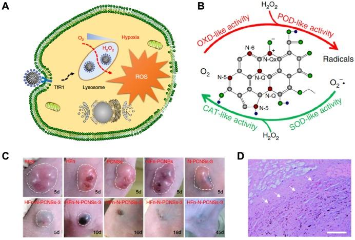 https://cdn.ncbi.nlm.nih.gov/pmc/blobs/b972/6929972/77229fa23131/thnov10p0687g010.jpg