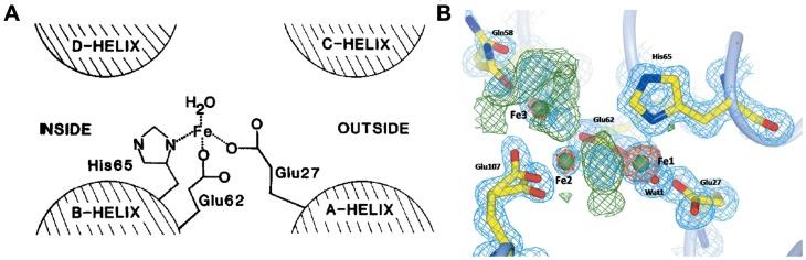 https://cdn.ncbi.nlm.nih.gov/pmc/blobs/b972/6929972/f7405930e794/thnov10p0687g003.jpg