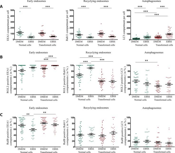 https://cdn.ncbi.nlm.nih.gov/pmc/blobs/b974/6586930/184c0b0b2d26/41598_2019_45443_Fig5_HTML.jpg