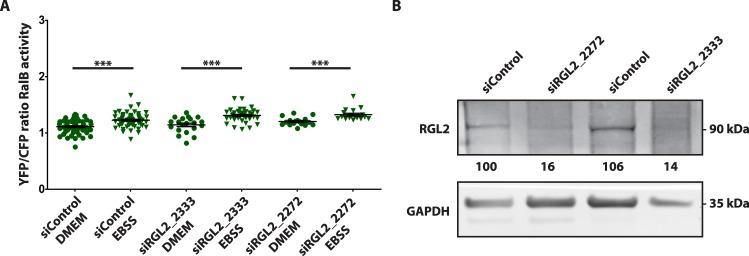 https://cdn.ncbi.nlm.nih.gov/pmc/blobs/b974/6586930/96136b6ed93d/41598_2019_45443_Fig7_HTML.jpg