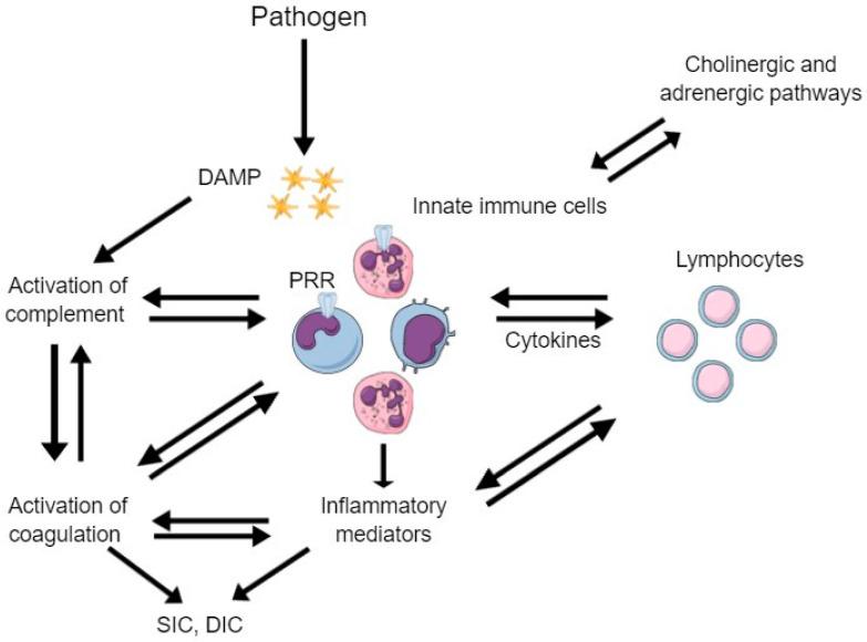 https://cdn.ncbi.nlm.nih.gov/pmc/blobs/b974/9961497/847b5c1586ca/life-13-00350-g001.jpg