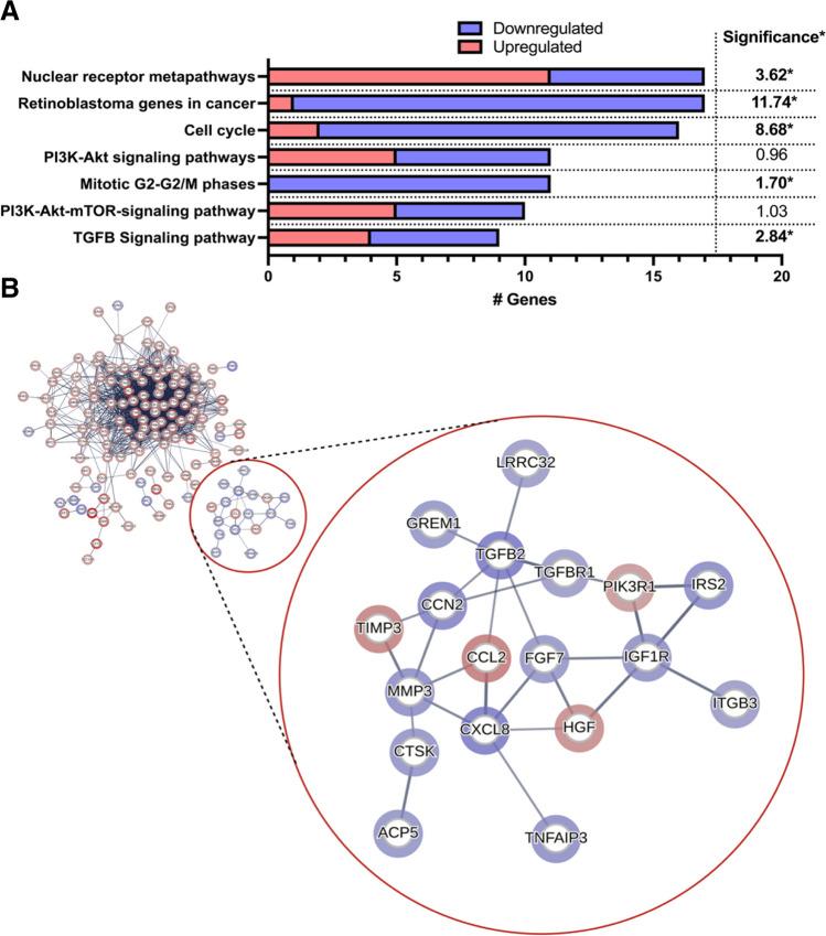 https://cdn.ncbi.nlm.nih.gov/pmc/blobs/b975/10984889/16cfad77856c/12015_2024_10682_Fig4_HTML.jpg