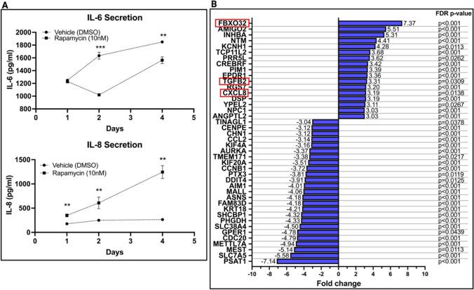 https://cdn.ncbi.nlm.nih.gov/pmc/blobs/b975/10984889/53394843ec12/12015_2024_10682_Fig3_HTML.jpg