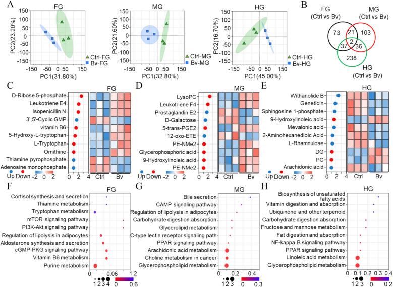 https://cdn.ncbi.nlm.nih.gov/pmc/blobs/b976/12083065/33892ce0522f/40168_2025_2124_Fig6_HTML.jpg
