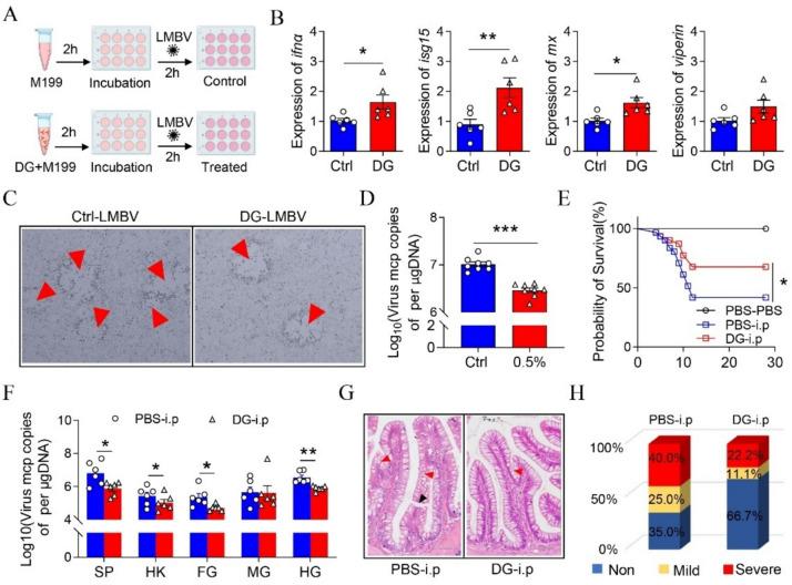 https://cdn.ncbi.nlm.nih.gov/pmc/blobs/b976/12083065/a8a9da2fd222/40168_2025_2124_Fig8_HTML.jpg