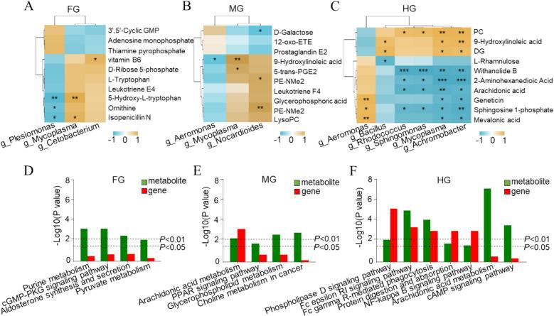 https://cdn.ncbi.nlm.nih.gov/pmc/blobs/b976/12083065/f5b859bb20c9/40168_2025_2124_Fig7_HTML.jpg