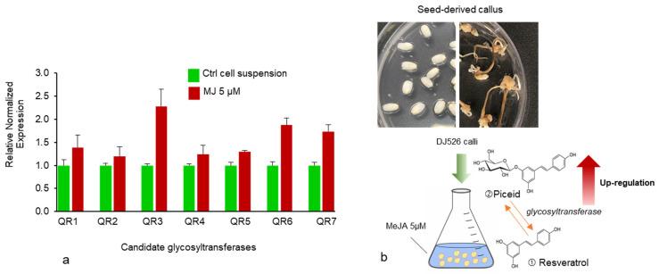 https://cdn.ncbi.nlm.nih.gov/pmc/blobs/b976/8399551/1ef6ef0a6618/plants-10-01653-g006.jpg