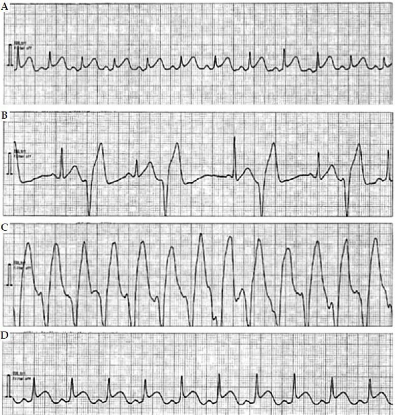 https://cdn.ncbi.nlm.nih.gov/pmc/blobs/b977/12140146/7b9c980323d8/JCB-17-56086-g001.jpg