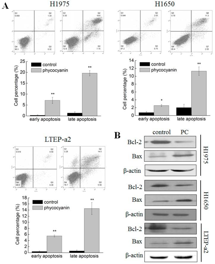 https://cdn.ncbi.nlm.nih.gov/pmc/blobs/b978/6627414/28405581eeae/cells-08-00588-g002.jpg