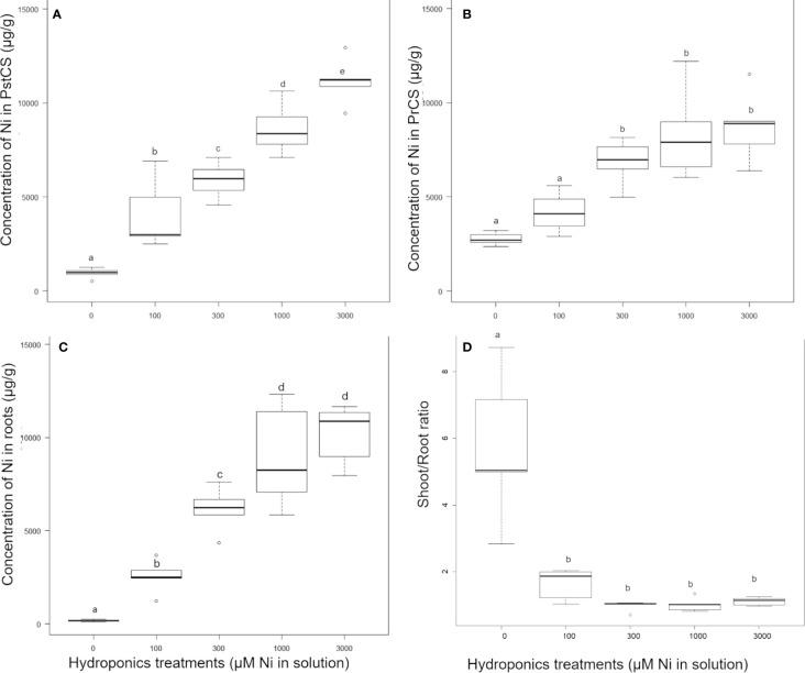 https://cdn.ncbi.nlm.nih.gov/pmc/blobs/b978/7509057/46616e0cbda4/fpls-11-559059-g002.jpg