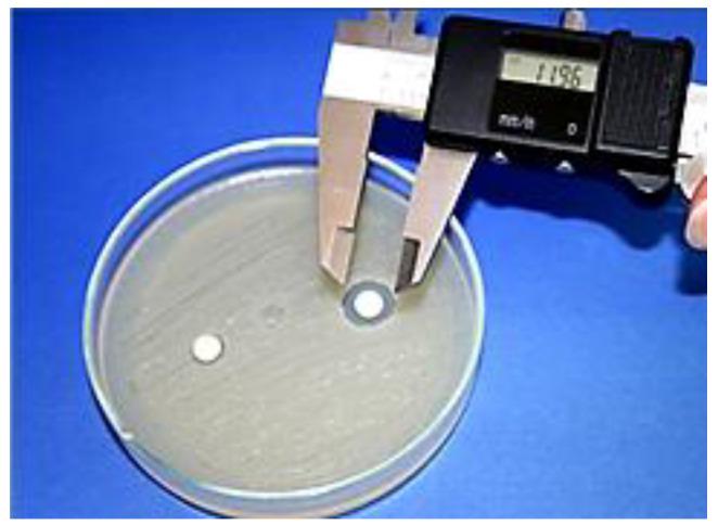 https://cdn.ncbi.nlm.nih.gov/pmc/blobs/b978/7579242/8404b11b8cad/materials-13-04383-g001.jpg