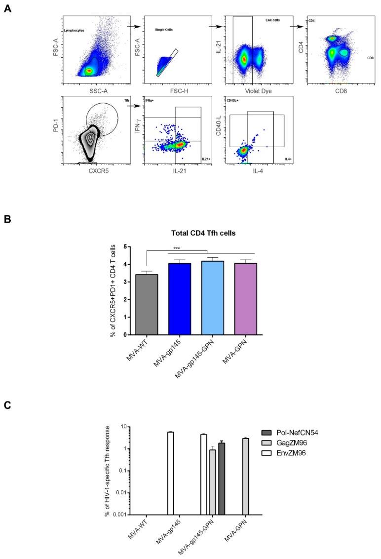 https://cdn.ncbi.nlm.nih.gov/pmc/blobs/b979/6410222/0fc8f60e2c9f/viruses-11-00160-g004.jpg